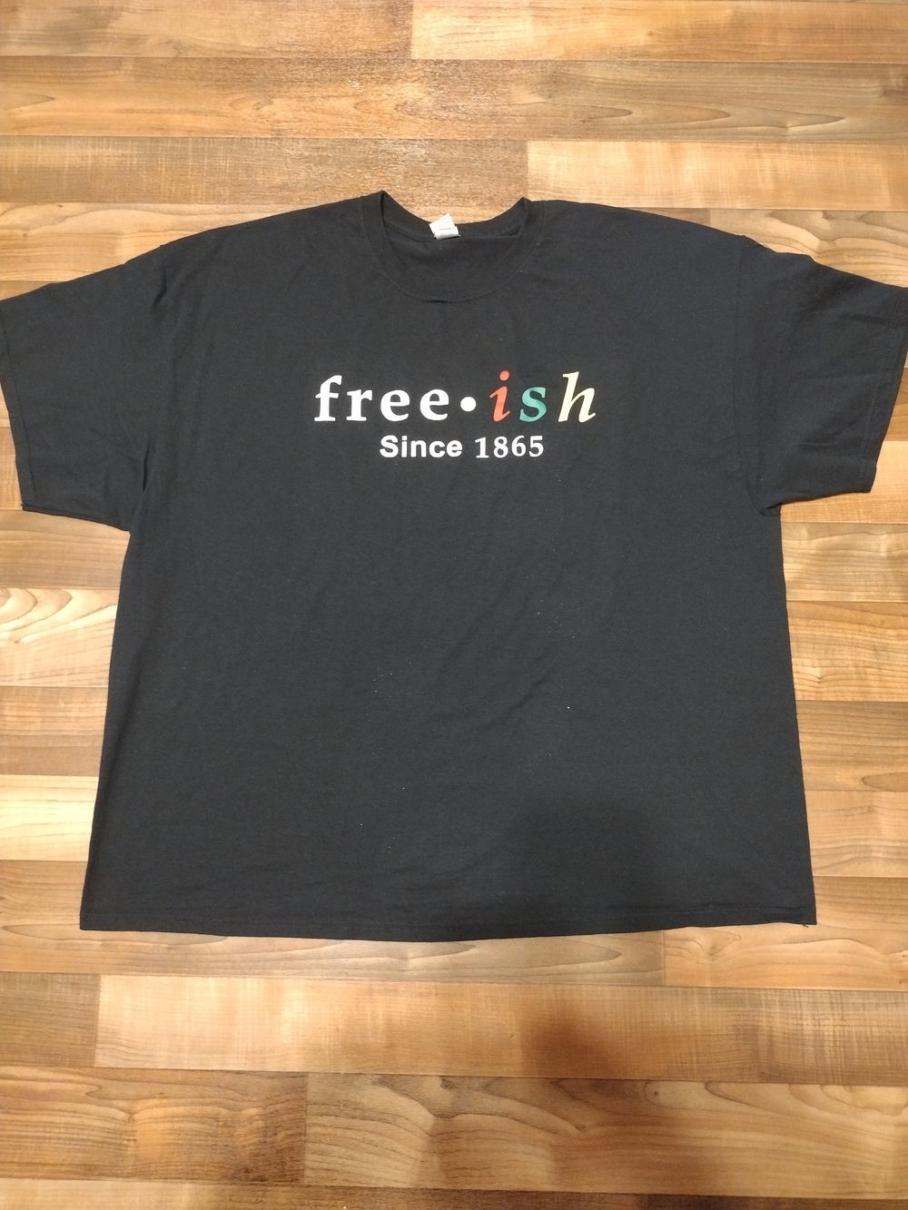 Gildan Black Tee with Multicolor "free·ish Since 1865" Logo